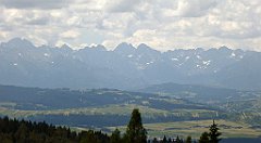 0181_TZ60_P1120113_cr