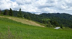 0191_TZ60_P1120118_cr