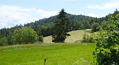 0196_TZ60_P1120122_cr