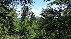 0205_TZ60_P1120125_cr