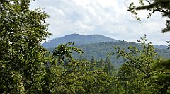 0206_TZ60_P1120126_cr