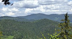 0216_TZ60_P1120135_cr