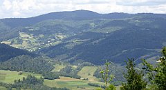 0260_TZ60_P1120158_cr