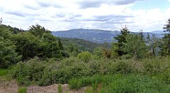 0278_TZ60_P1120170_cr