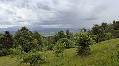 0296a_TZ60_P1120192_cr