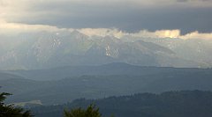 0298_TZ60_P1120190_cr