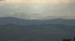 0303_TZ60_P1120195_cr