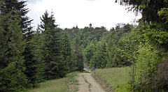 0313_TZ60_P1120200_cr