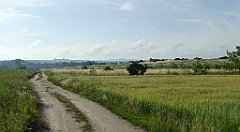 0053_TZ60_P1120262_cr