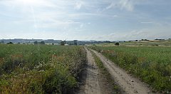 0057_TZ60_P1120266_cr