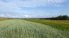 0062_TZ60_P1120271_cr