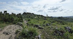 0145_TZ60_P1120314_cr