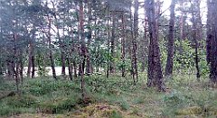 0199_A806_IMG_20160627_102809_cr