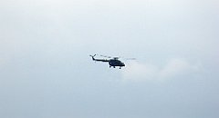 0307_TZ60_P1120334_cr