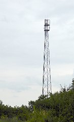 0365_TZ60_P1120389_cr