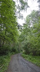 0383_TZ60_P1120394_cr