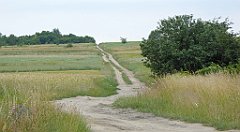 0404_TZ60_P1120400_cr