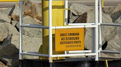 0119_TZ60_P1120491_cr