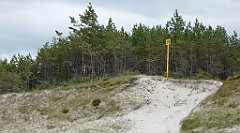 0261_TZ60_P1120599_cr