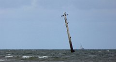 0309_TZ60_P1120641_cr