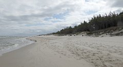 0310_TZ60_P1120642_cr