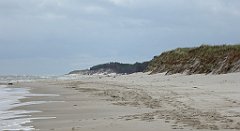 0317_TZ60_P1120649_cr