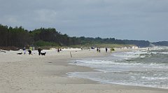 0366_TZ60_P1120679_cr