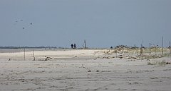 0378_TZ60_P1120684_cr