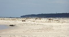 0382_TZ60_P1120688_cr