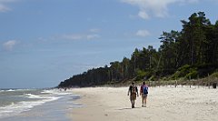 0414_TZ60_P1120720_cr