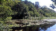 0443_A806_IMG_20160717_130725_cr