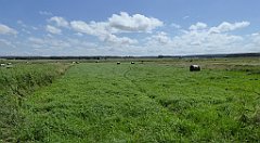 0465_TZ60_P1120729_cr