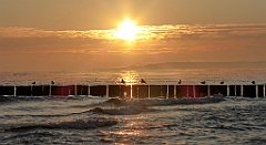 0062a_TZ60_P1120774_cr