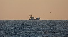 0084_TZ60_P1120779_cr