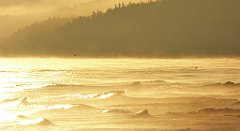 0099_TZ60_P1120791_cr