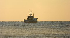 0104_TZ60_P1120796_cr