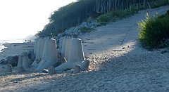 0202a_3D_P1090605_cr