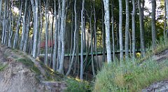 0211_TZ60_P1120869_cr