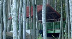 0211c_TZ60_P1120867_cr