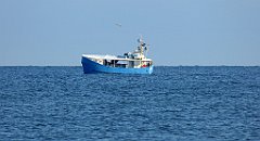 0239_TZ60_P1120886_cr