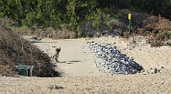 0339_TZ60_P1120966_cr