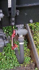 078_TZ60_P1130276_cr