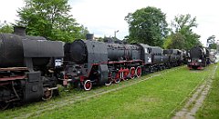 082_TZ60_P1130280_cr