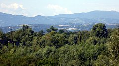 186_TZ60_P1130080_cr