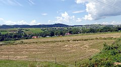 094_TZ60_P1130125_cr