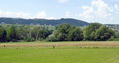 099_TZ60_P1130129_cr