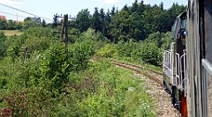 111_TZ60_P1130142_cr