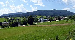 210_TZ60_P1130227_cr