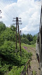 228_TZ60_P1130234_cr