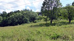 270_TZ60_P1130261_cr